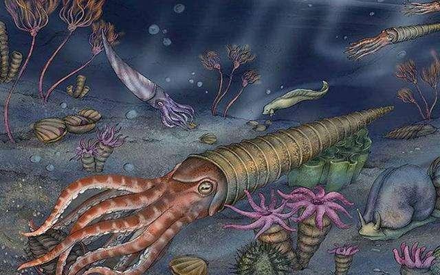 泥盆紀化石寶庫重現貴州，83種遠古海洋生物揭示生命演化與醫藥研發新曙光